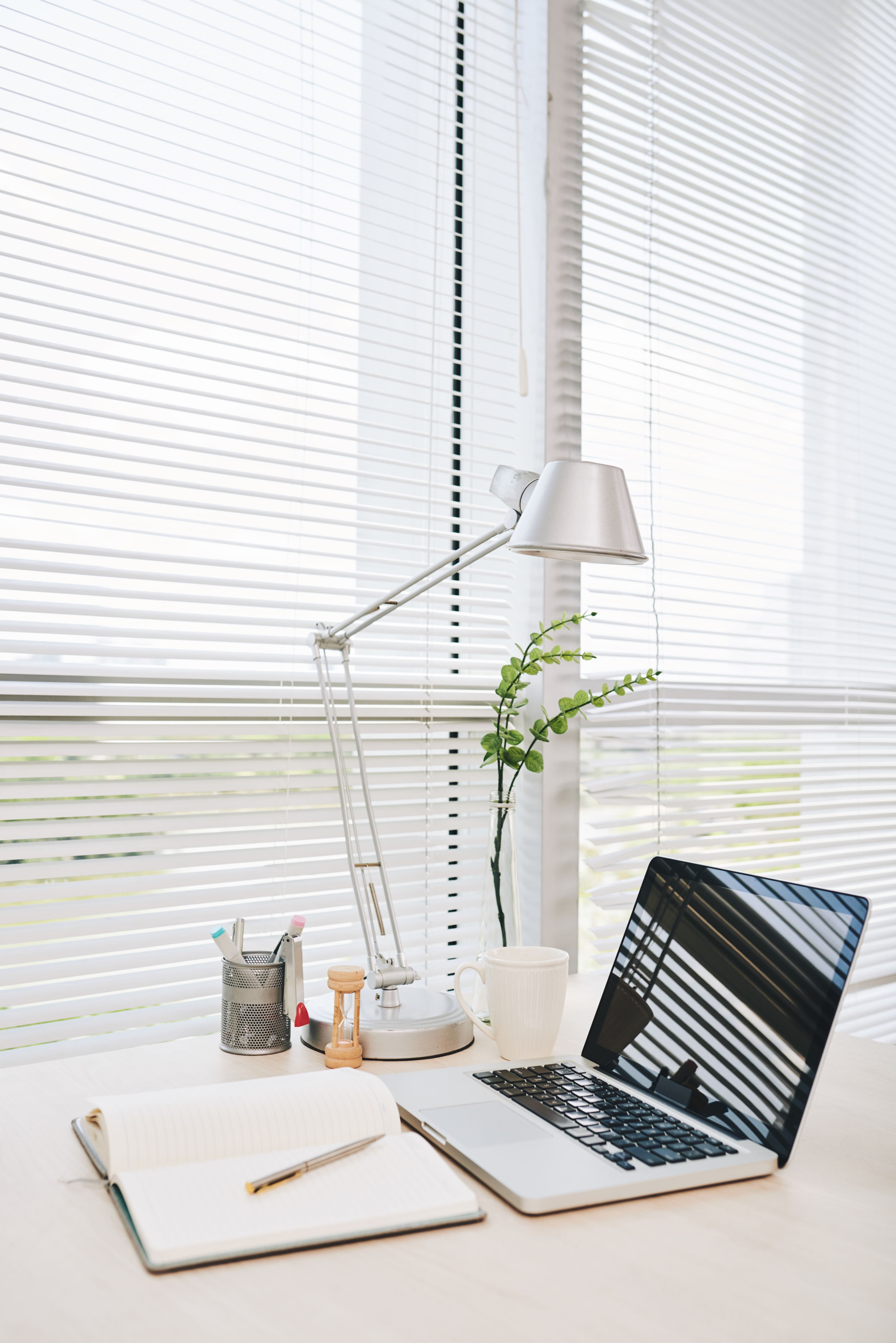 Windows & Blinds
